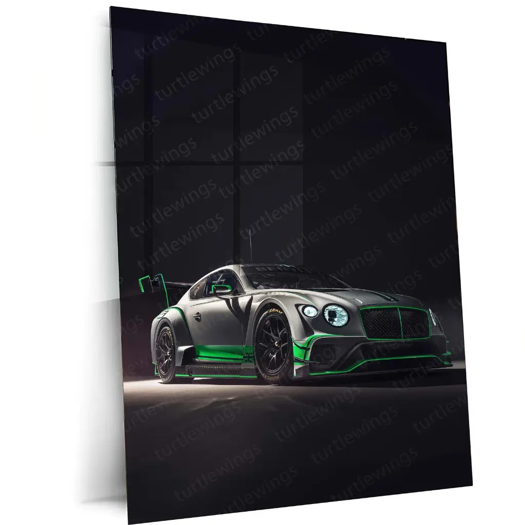 2018 Bentley Continental GT3 Metal Poster | Luxury Racing Art
-51%
