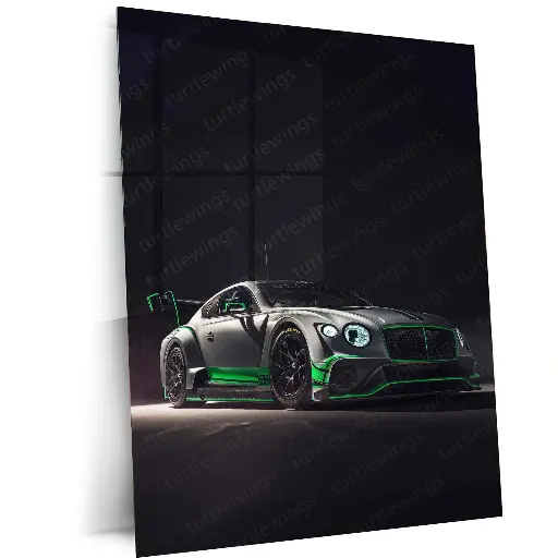 2018 Bentley Continental GT3 Metal Poster | Luxury Racing Art
-51%
